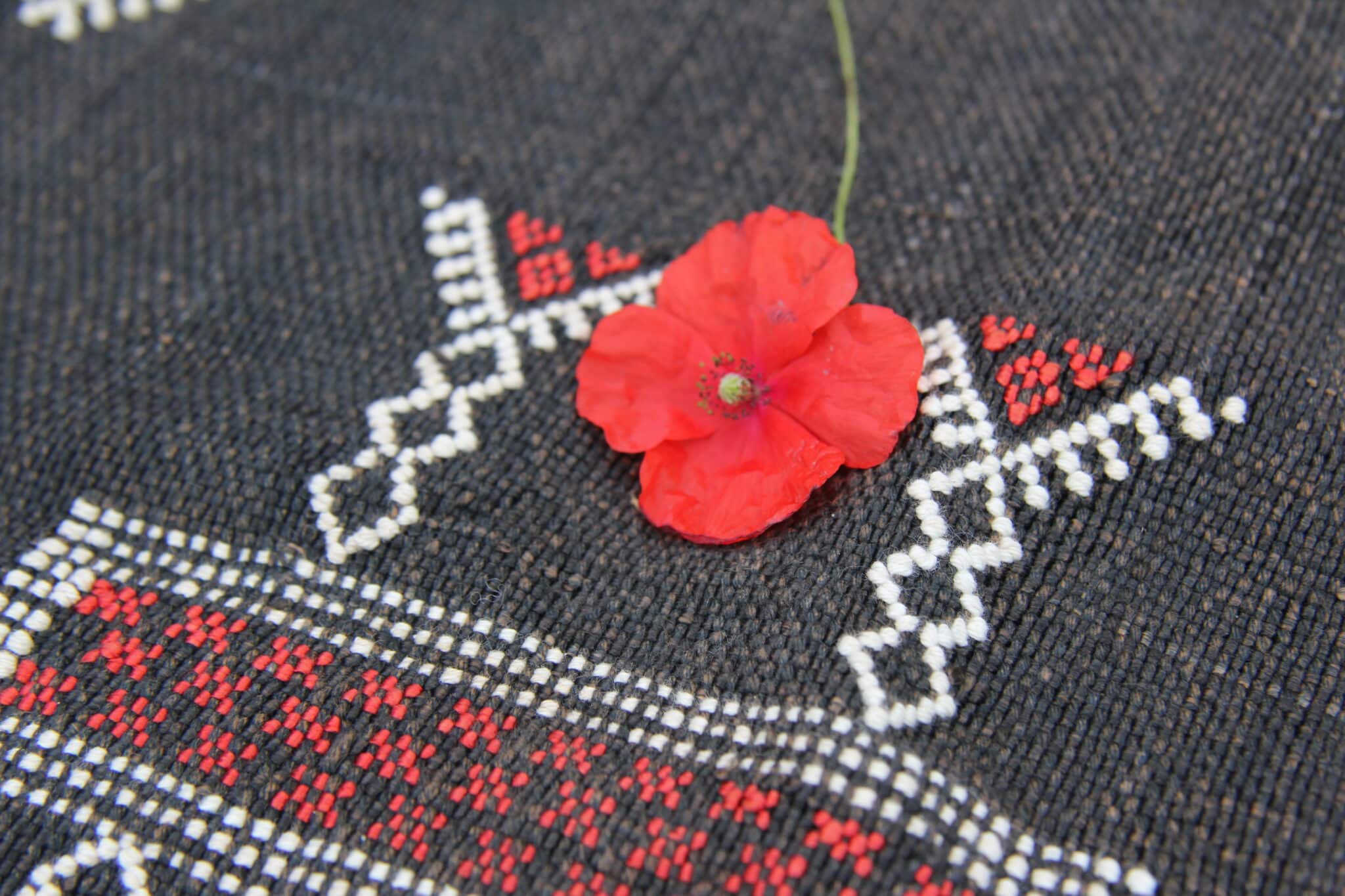 Pudebetræk SABRA, Sort 4 Pudebetræk SABRA, Sort - Image 4