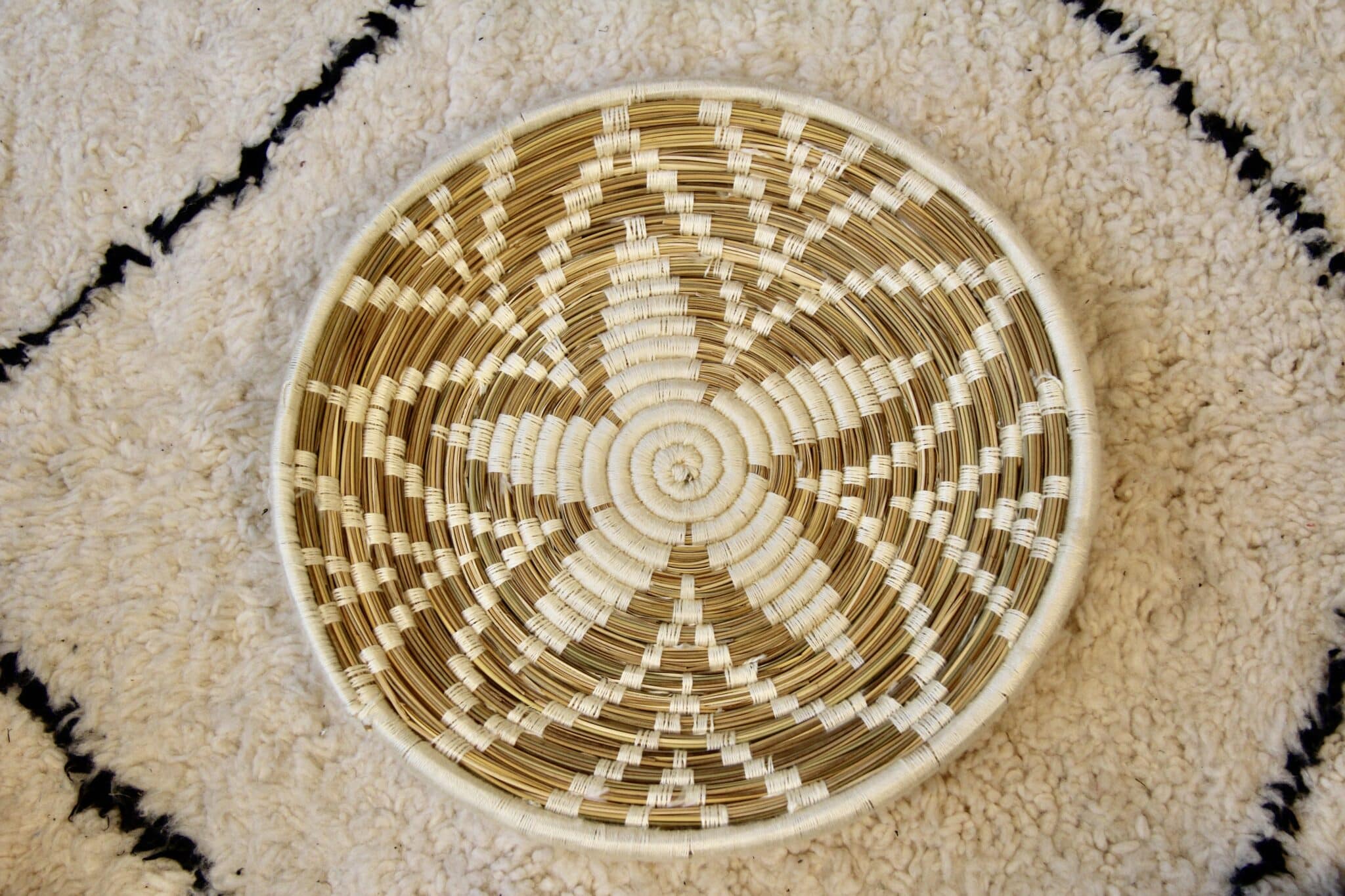 Marokkansk fladkurv - BASK 2 Marokkansk fladkurv - BASK - Image 2