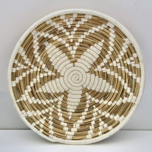 Marokkansk fladkurv - BASK