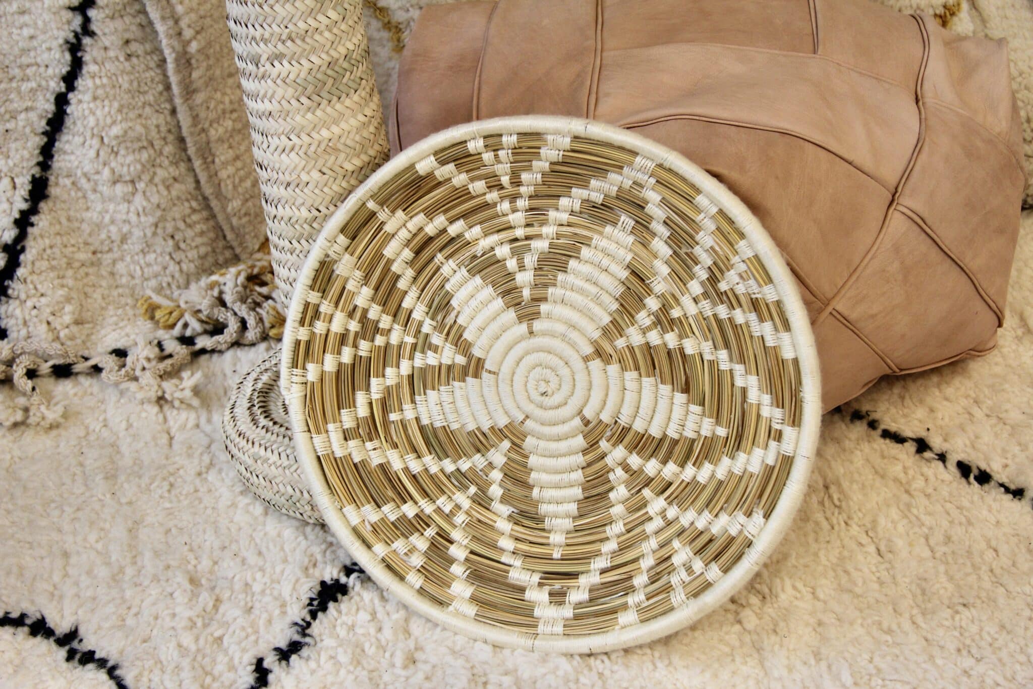 Marokkansk fladkurv - BASK 4 Marokkansk fladkurv - BASK - Image 4