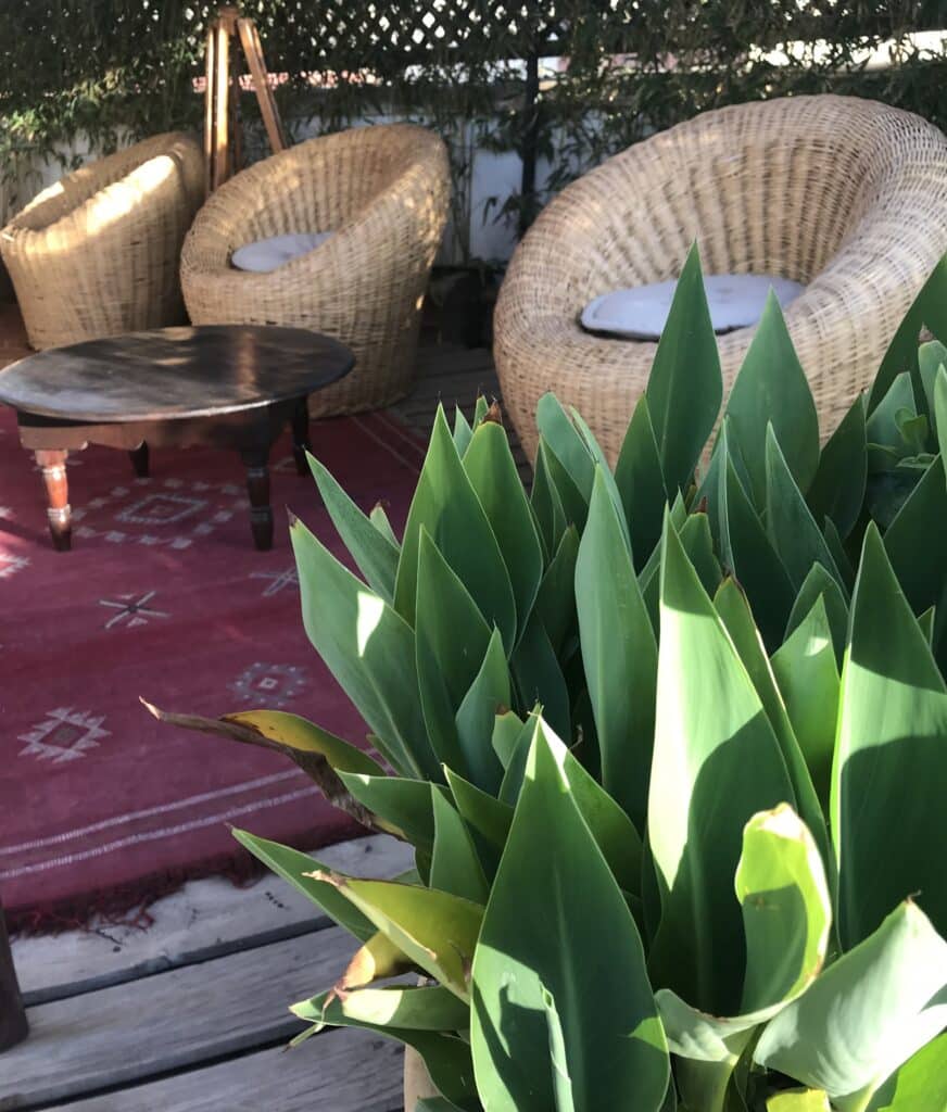 Marokkanske lounges IMG 6892 3